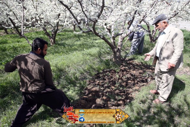 عطر شهادت و جانفشانی ...اشتغال وتولید ملی