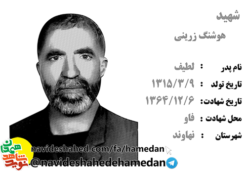 زندگینامه بسیجی شهید هوشنگ زرینی