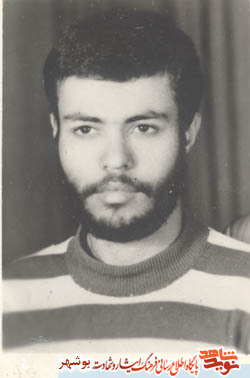 شرح شرح