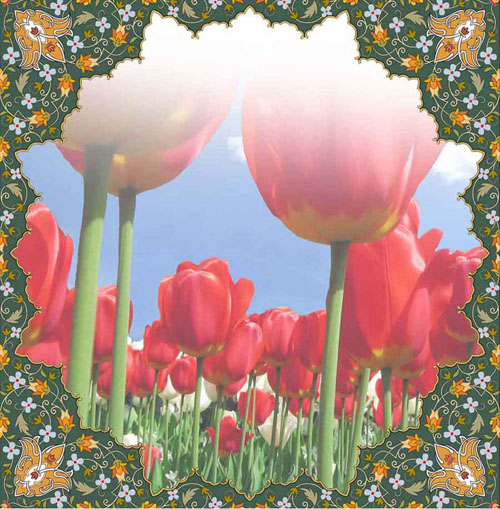 دل نوشته ای همرزم شهید در وصف «خسرو اسدی» دل نوشته ای همرزم شهید در وصف «خسرو اسدی»