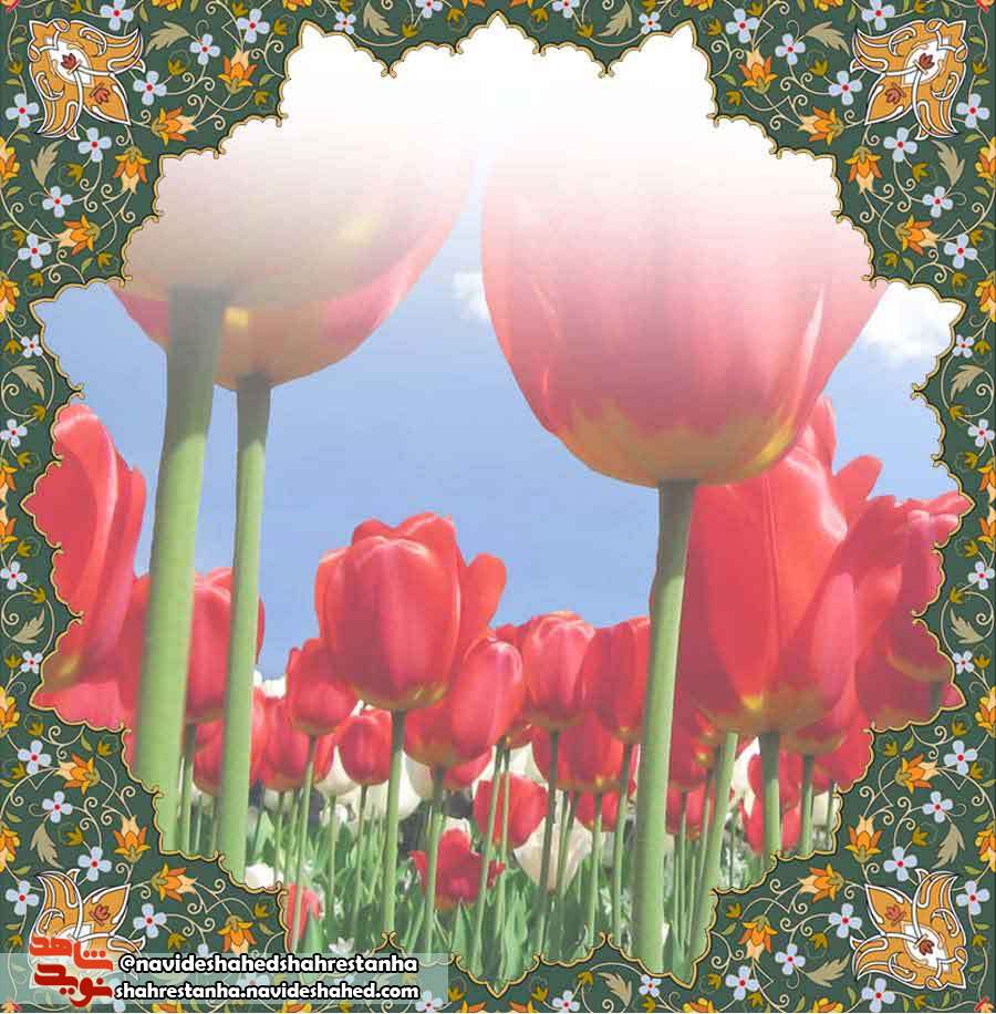 مبارزی کوچک، با اراده ای بزرگ