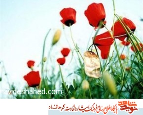 آخرین وداع آخرین وداع