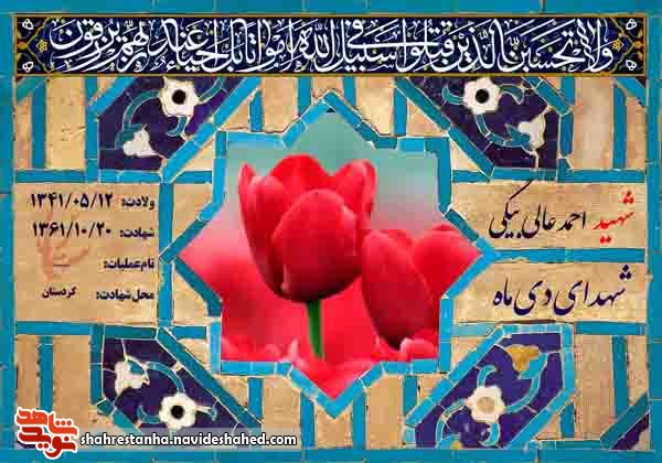 معرفی شهدای بیستم دی ماه معرفی شهدای بیستم دی ماه