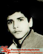 شوق پرواز شوق پرواز