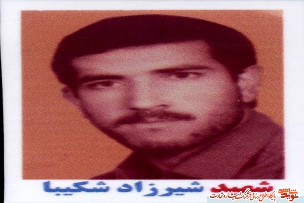 پسرم تشنه شهادت بود