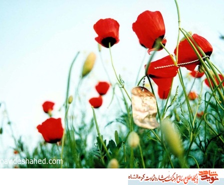 شهید غلام علی همتی/ ای دشمن بشریت دیگر عمرت بر سر آمده است شهید غلام علی همتی/ ای دشمن بشریت دیگر عمرت بر سر آمده است