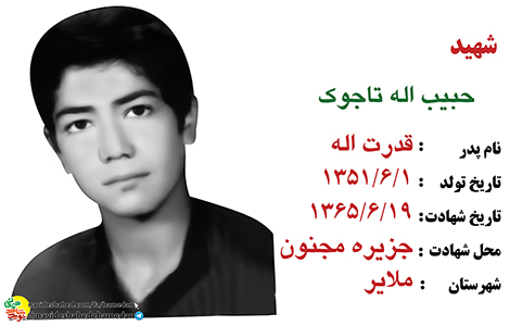 زندگینامه بسیجی شهید حبیب الله تاجوک زندگینامه بسیجی شهید حبیب الله تاجوک