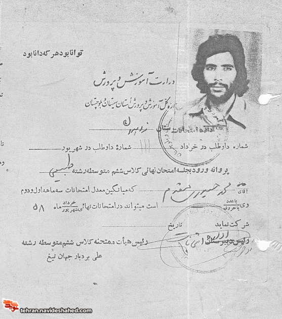 اسناد تحصیلی شهید 
