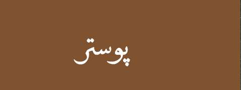 ویژه‌نامه الکترونیکی 