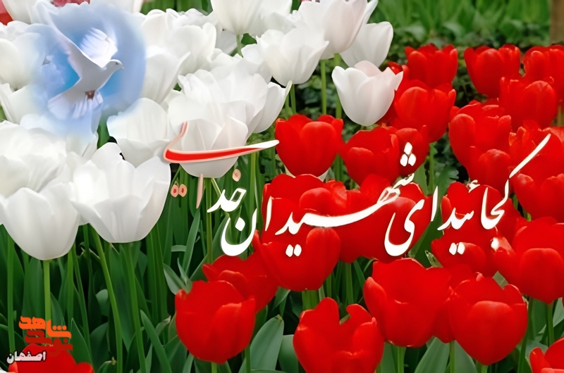 معرفی شهدای شهرستان خمینی شهر