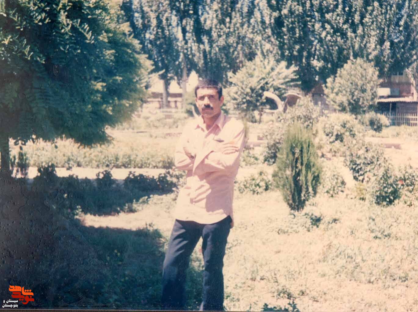 آلبوم تصاویر شهید«محمد باستانی» منتشر شد