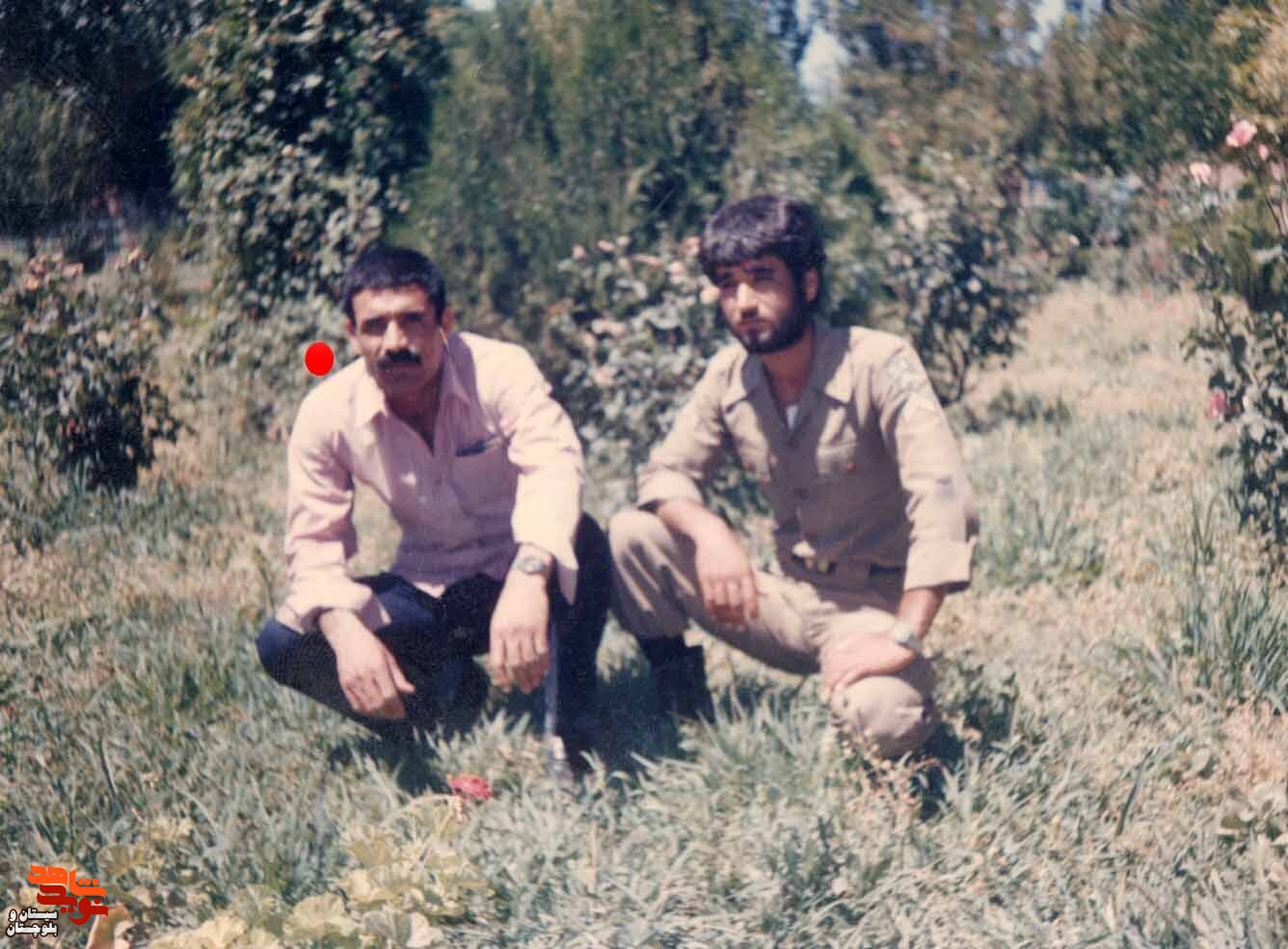 آلبوم تصاویر شهید«محمد باستانی» منتشر شد