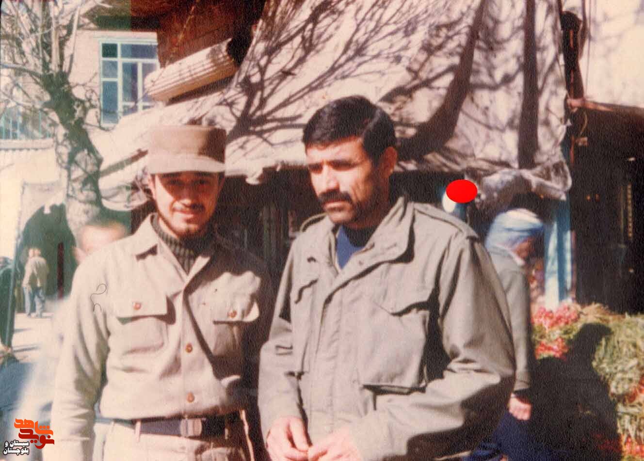 آلبوم تصاویر شهید«محمد باستانی» منتشر شد
