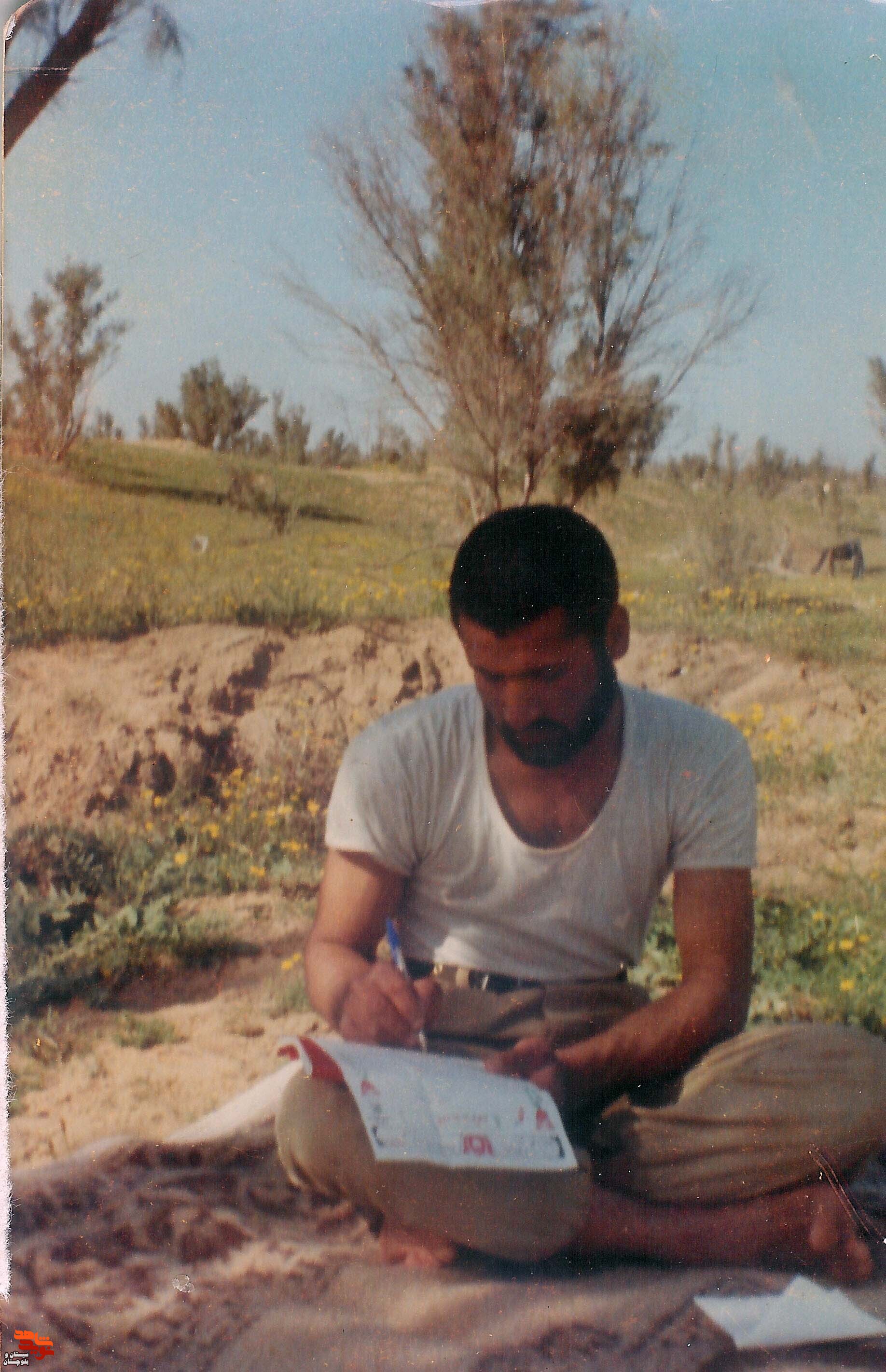 شهید«محمدرضا مرادی» در قاب تصاویر