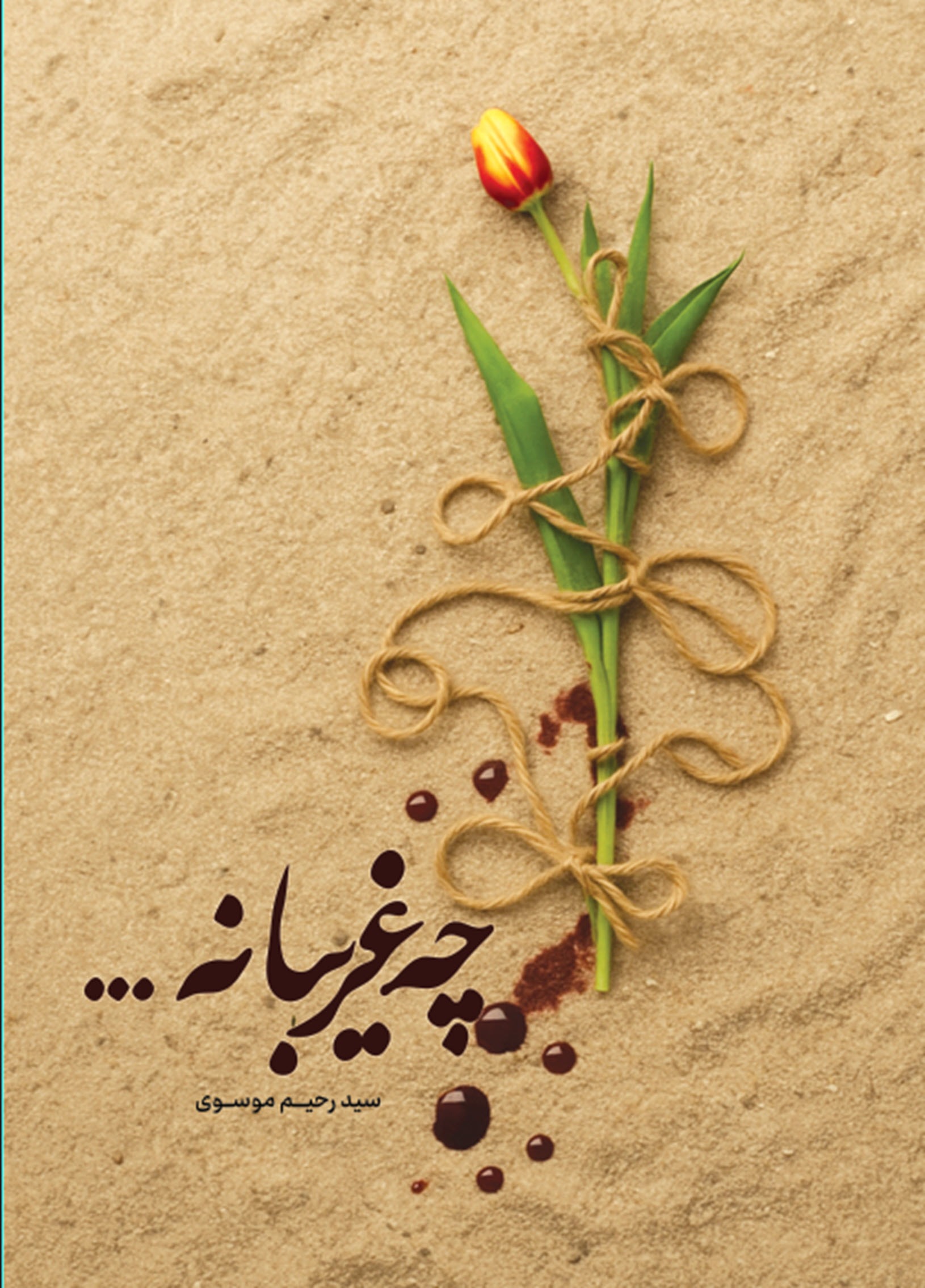 کتاب «چه غریبانه…» اثر سید رحیم موسوی؛ روایتی از غربت و مظلومیت شهیدان اسارت