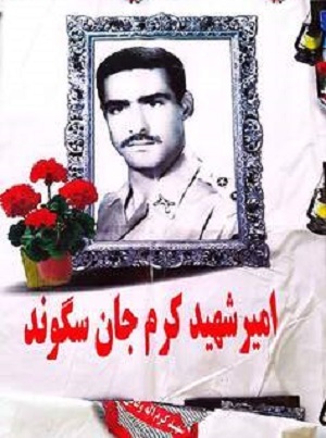 یادواره ۱۵ شهید ارتشی بیرانشهر برگزار می‌شود