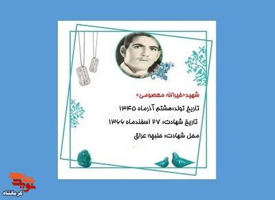 مرا حلال کنید و رهبر را تنها نگذارید؛ راه شهادت را افتخار می‌دانم