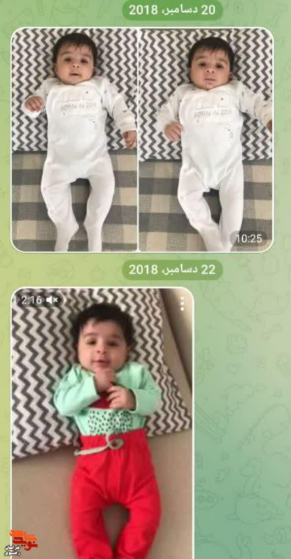 البوم عکس/ دانش آموز شهید میلان صابری
