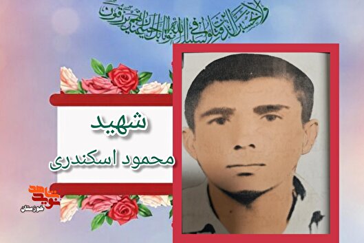 جبهه‌ها را گرم نگه دارید تا خون شهدا پایمال نشود