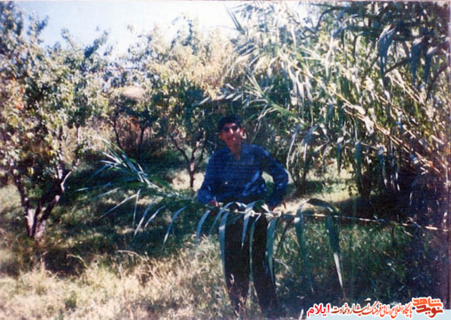 شهید موسی علیزاده از شهدای استان ایلام