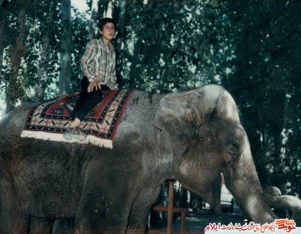 شهید حشمت اله شیرخانی از شهدای استان ایلام